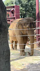 恩賜上野動物園に投稿された画像（2026/8/20）