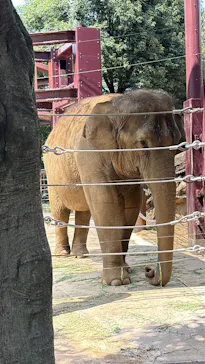 恩賜上野動物園に投稿された画像（2026/8/20）