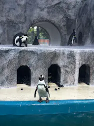 恩賜上野動物園に投稿された画像（2026/8/20）