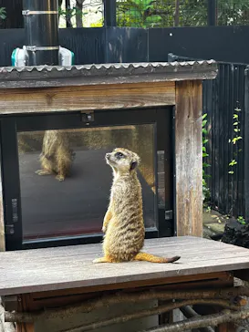 恩賜上野動物園に投稿された画像（2026/8/20）