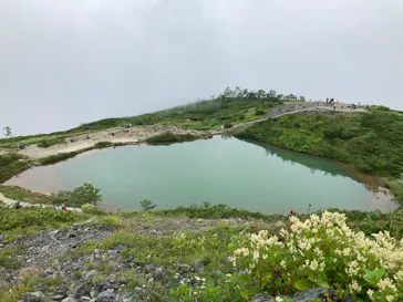 白馬八方尾根に投稿された画像（2026/8/20）