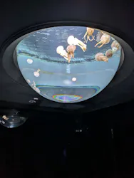 サンシャイン水族館に投稿された画像（2026/8/20）