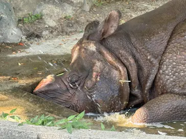 名古屋市東山動植物園に投稿された画像（2026/8/20）