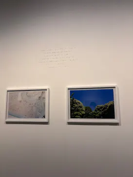 金沢21世紀美術館に投稿された画像（2026/8/20）