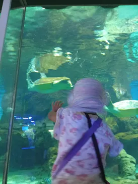 名古屋港水族館に投稿された画像（2026/8/20）