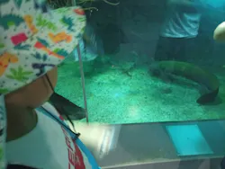 名古屋港水族館に投稿された画像（2026/8/20）