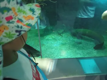 名古屋港水族館に投稿された画像（2026/8/20）