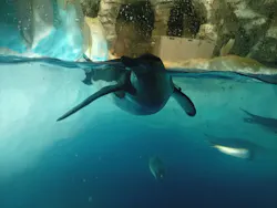 名古屋港水族館に投稿された画像（2026/8/20）
