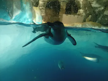 名古屋港水族館に投稿された画像（2026/8/20）