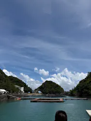太地町立くじらの博物館に投稿された画像（2026/8/20）