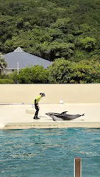 太地町立くじらの博物館に投稿された画像（2026/8/20）
