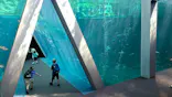 環境水族館アクアマリンふくしまに投稿された画像（2026/8/20）