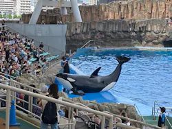 名古屋港水族館に投稿された画像（2026/8/20）