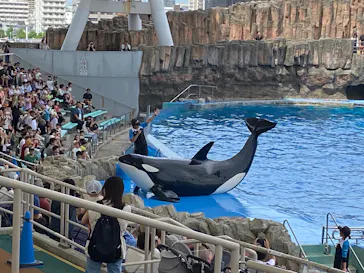 名古屋港水族館に投稿された画像（2026/8/20）