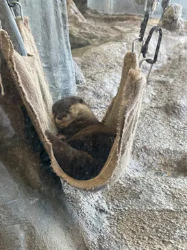新江ノ島水族館に投稿された画像（2026/8/20）