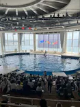 アクアワールド茨城県大洗水族館に投稿された画像（2026/8/20）