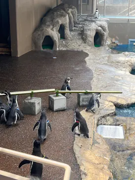 アクアワールド茨城県大洗水族館に投稿された画像（2026/8/20）
