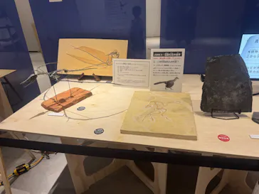 「YAESU KIDS EXPO 2026 ダイナソーラボ」～東京ミッドタウン八重洲でティラノサウルスと学ぼう！～に投稿された画像（2026/8/20）