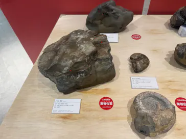 「YAESU KIDS EXPO 2026 ダイナソーラボ」～東京ミッドタウン八重洲でティラノサウルスと学ぼう！～に投稿された画像（2026/8/20）