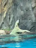 天王寺動物園に投稿された画像（2026/8/20）