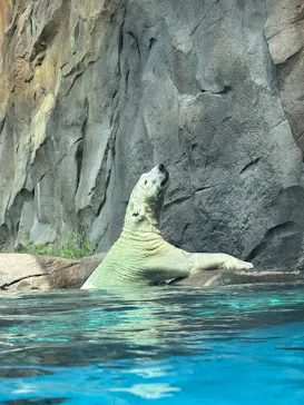天王寺動物園に投稿された画像（2026/8/20）