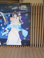 サンシャイン水族館に投稿された画像（2026/8/20）