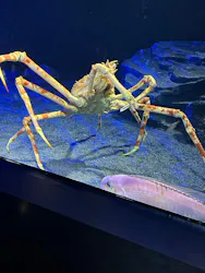 サンシャイン水族館に投稿された画像（2026/8/20）
