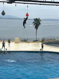 マリンワールド海の中道に投稿された画像（2026/8/20）