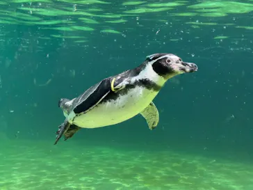 葛西臨海水族園に投稿された画像（2026/8/20）