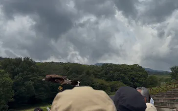 那須どうぶつ王国に投稿された画像（2026/8/20）