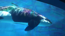 名古屋港水族館に投稿された画像（2026/8/20）