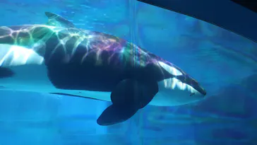 名古屋港水族館に投稿された画像（2026/8/20）