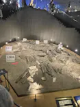 福井県立恐竜博物館に投稿された画像（2026/8/20）