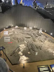 福井県立恐竜博物館に投稿された画像（2026/8/20）