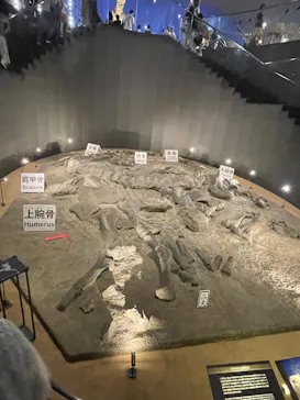 福井県立恐竜博物館に投稿された画像（2026/8/20）