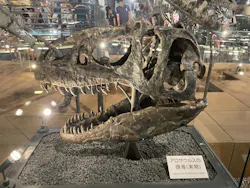 福井県立恐竜博物館に投稿された画像（2026/8/20）