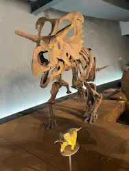 福井県立恐竜博物館に投稿された画像（2026/8/20）