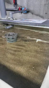世界淡水魚園水族館　アクア・トトぎふに投稿された画像（2026/8/20）