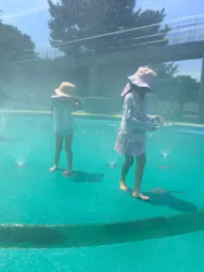 尼崎スポーツの森に投稿された画像（2026/8/20）