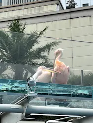 サンシャイン水族館に投稿された画像（2026/8/20）