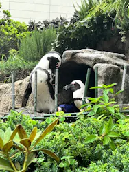 サンシャイン水族館に投稿された画像（2026/8/20）