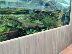 サンシャイン水族館に投稿された画像（2026/8/20）