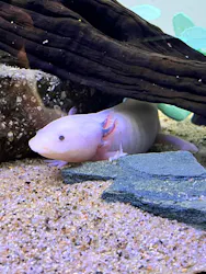 サンシャイン水族館に投稿された画像（2026/8/20）