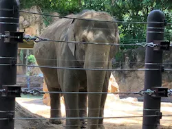 恩賜上野動物園に投稿された画像（2026/8/20）