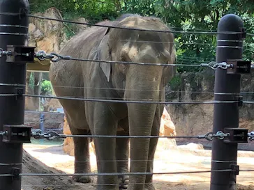 恩賜上野動物園に投稿された画像（2026/8/20）