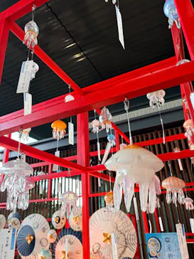 京都水族館に投稿された画像（2026/8/20）