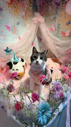 成田ゆめ牧場に投稿された画像（2026/8/20）
