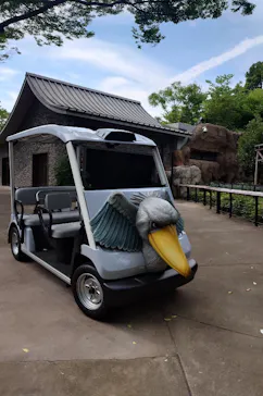 上野動物園 ハシビロカートに投稿された画像（2026/8/20）