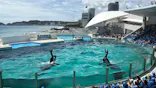 鴨川シーワールドに投稿された画像（2026/8/21）