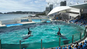 鴨川シーワールドに投稿された画像（2026/8/20）